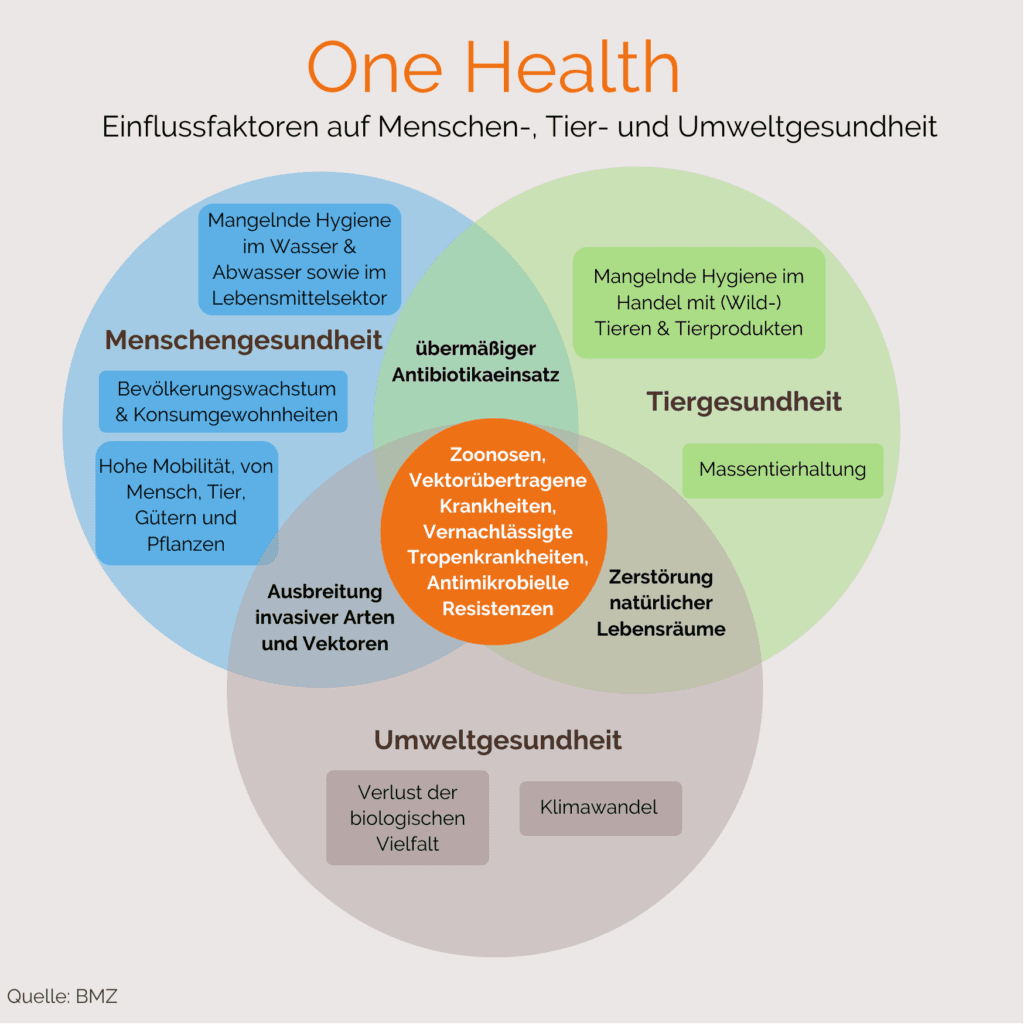 One-Health