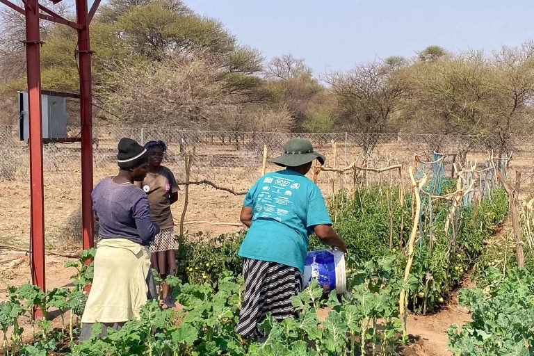 Eine Reise nach Simbabwe